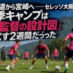 天然芝のピッチで連係練習に取り組むセレッソ大阪の選手たち。