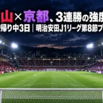 ナイトゲームのスタジアムで照明に照らされたピッチとスタンドの様子