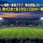 ナイター照明に照らされた地方都市のサッカースタジアムのピッチ。