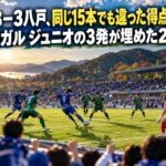 今治3-3八戸、同じ15本でも違った得点の道筋 エジガル ジュニオの3発が埋めた2点差 緑の丘に囲まれたサッカー場で青と緑のユニフォームの選手が競り合うイメージ。